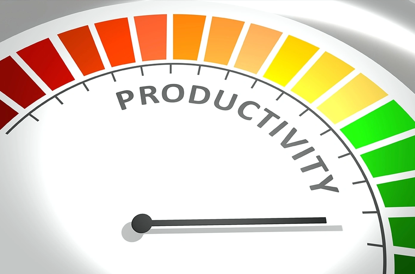 Independent worker productivity coaching